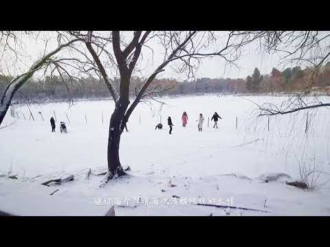 PKUers First Snow 2021 | 【北大初雪】2021年的第一场雪，小北邀你共赏~ - 北京大学 Peking University - 北京大学 Peking University