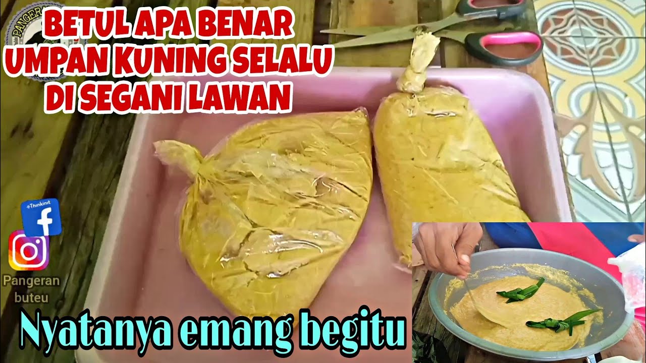 Racikan umpan kuning Aroma amis wangi gurih media jagung umpan mancing