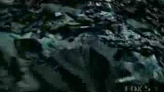 Celebrity Squirrel Rats Comparison Mitsubishi Eclipse Car commercial Net Worth