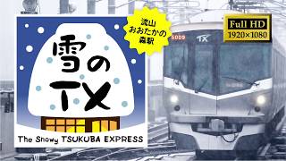 【電車】雪に負けない！積雪のつくばエクスプレス2019