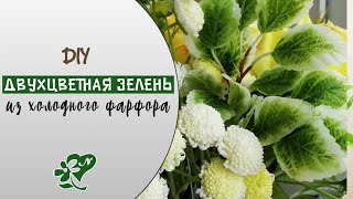 видео: МК. Красивая зелень из холодного фарфора. Простой способ DIY.A two-color yawn made of cold porcelain картинка: МК. Красивая зелень из холодного фарфора. Простой способ DIY.A two-color yawn made of cold porcelain
