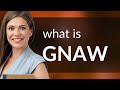 Gnaw GNAW Definition