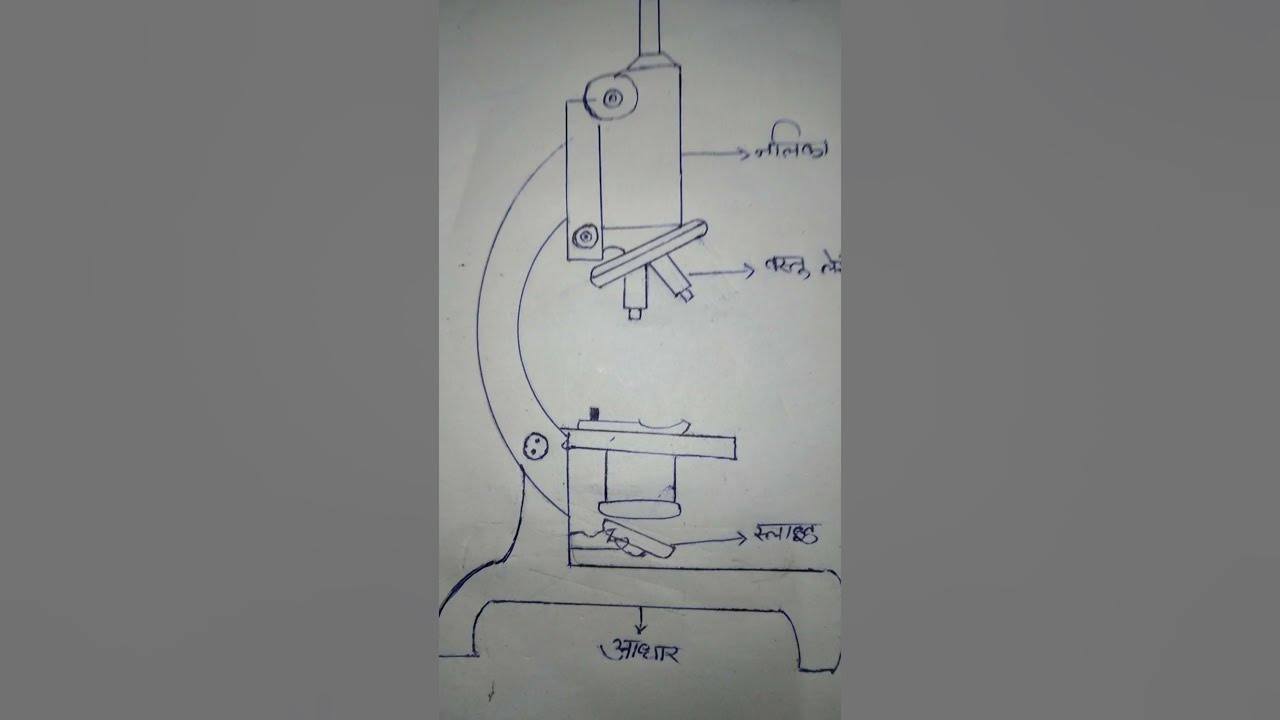 microscope Ka Chitra Hai Maine banaya hai YouTube