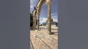 هو انت قد الاحرار قد الفلسطينيه 