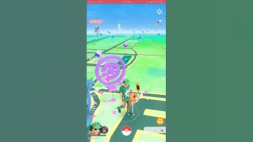 SHINY CLAMPERL - POKEMON GO