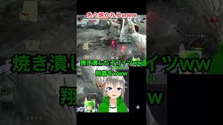 ヤツカダキに色々焼かれるVTuber www【モンスターハンターライズサンブレイク】