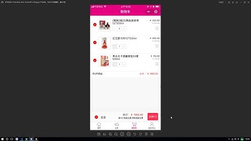 Flutter实战视频-移动电商55 55 购物车 底部结算栏UI制作