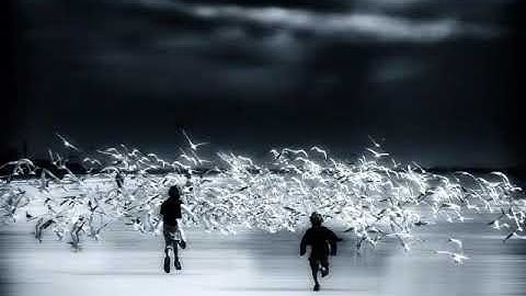 Thumbnail of Max Richter - Luminous