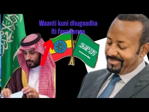 Ijoollee Keenyaa Sudii Arbiyaa Keessati Argama Hundafi Oduu Gamachisaa KennaaGalaanaa HadhaKooTube