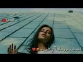 سيف نبيل بروحي شريك ALSMAR mp3