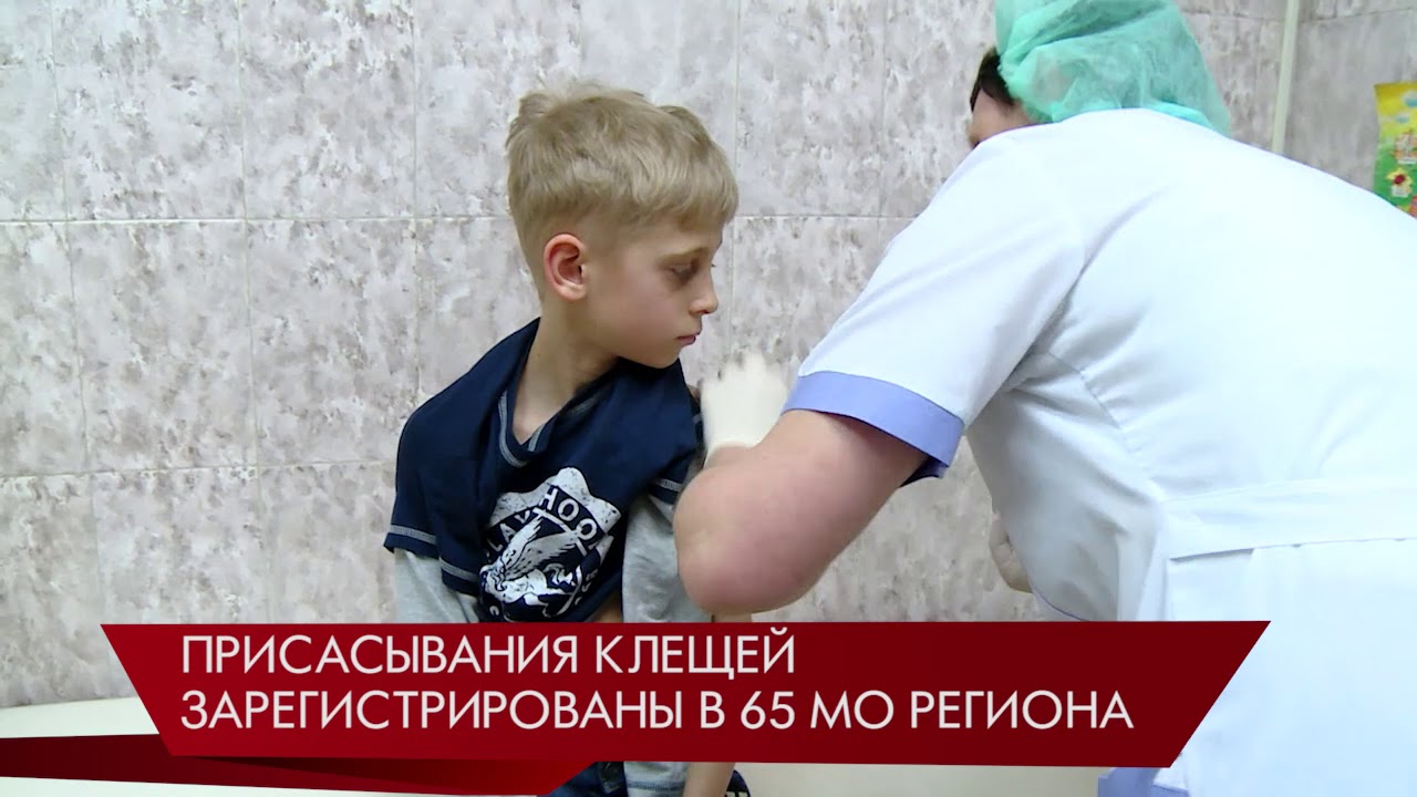 Новогодние Каникулы В Вузах Новогодние Каникулы В Вузах