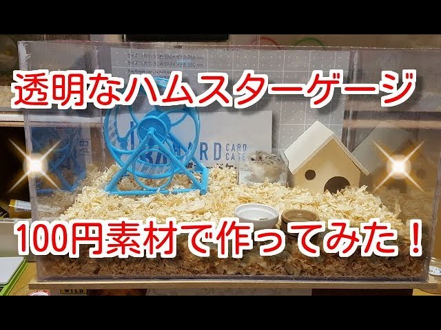 １００円ショップの素材で透明なハムスターゲージ作りました It Is A Hamster Gauge In 100 Yen Material Youtube