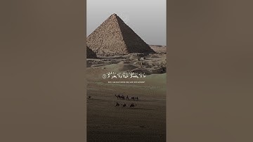 ياسر الدوسري سورة الأنبياء قالو من فعل هذا بآلهتنا إنه لمن الظالمين🤍