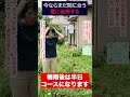 その雑草、6月から地獄化します… #shorts #庭師