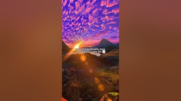 Shopify store design 😍 For services link in bio ✅ #shopify #shopifystoredesign #shopifydesign