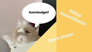 Minska kostnaden för din kanin #kaninbudget