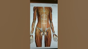 Aspen University  A&P Lab9 Dr Beam