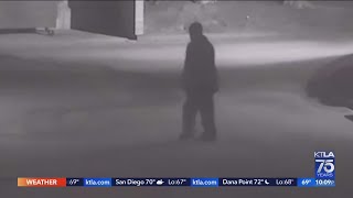 Torrance police search for sexual assault suspect