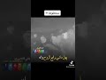 نموت يمدلل سويه فيديو يجنن شباب يغنون الجزء الثاني حالات واتساب ستوريات انستا 