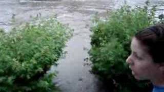 flood in my back yard 2