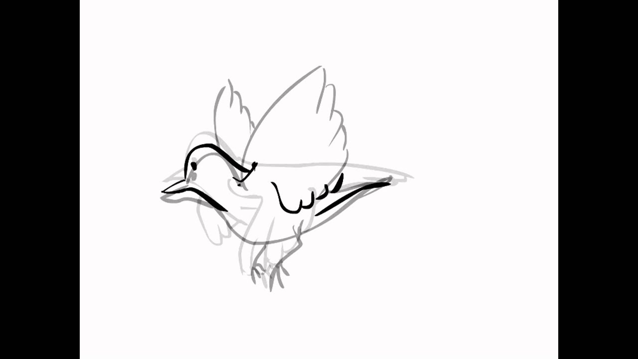 رسم طيور كرتون
