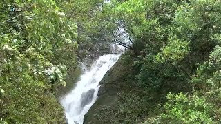 Hiker impaled by tree branch on Oahu trail
