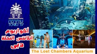 07 The Lost Chambers Aquarium ذا لوست تشامبرز أكواريوم
