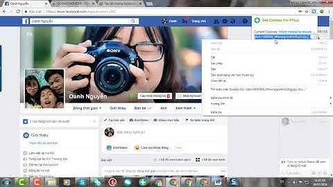 Thánh Tool - Quản lý comment inbox nhiều tài khoản và page facebook - FPlus Scheduler