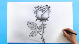 ROSE Drawing Easy 🌹| How to Draw a Rose step by step