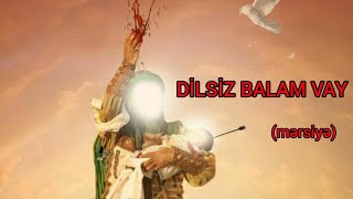 Dilsiz balam vay #yahussain #əhlibeyt Resimi