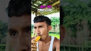 Mini Vlog #funny #assamese #comedy