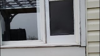 PetSafe 1 Piece Sliding Glass Pet Door for Dogs & Cats Review