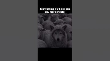 #cryptocurrency #crypto #memes #nft #altseason #cryptonews #memecoin #eth #web3 #xrp #cryptomemes