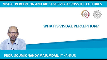 What is Visual Perception?