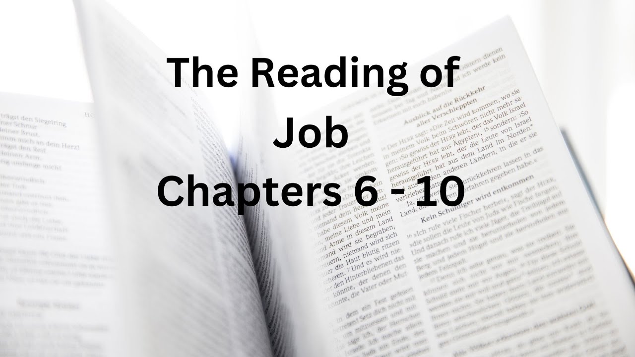 The Reading of Job Chapters 6 - 10 #holybible #audiobible #biblestudy # ...