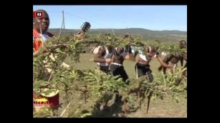 THOKOZANI LANGA - BHEKA NGAKIMI - (MASKANDI MUSIC)