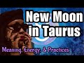 New moon in taurus meaning energy what to do journal prompts crystals herbs  more