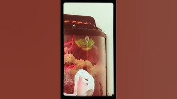 Green tree python yawning