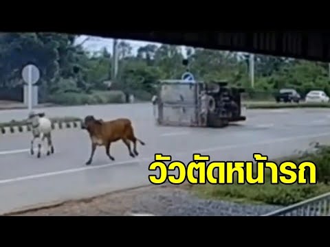 ข่าวสาร รถยนต์