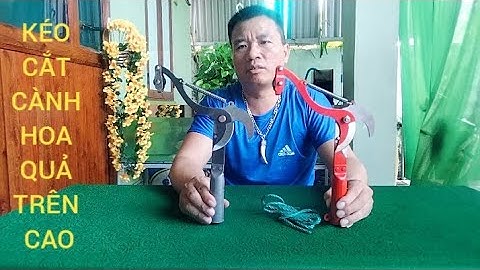 ĐẦU KÉO CẮT TỈA CÀNH CÂY HÁI HOA QUẢ TRÊN CAO THUẬN TIỆN CHO MỌI GIA ĐÌNH 