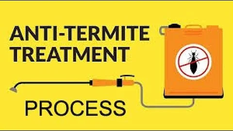 Anti-Termite Treatment Process in construction