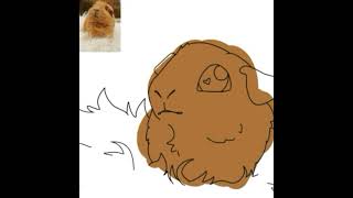 Guinea Piggy Doodle