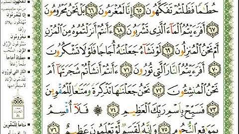 ماهر المعيقلي سورة الواقعة المصحف الملون المرمز المصحف مكتوب 56