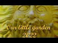 Govi Serenade D&#39;amor and our little garden