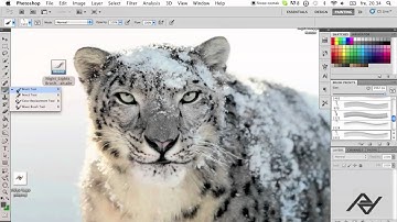 Photoshop CS5 Tutorial #2: How to upload free brushes to photoshop.