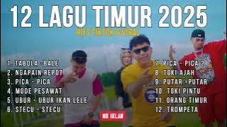 🎵 12 LAGU TIMUR 2025 - HITS TIKTOK & VIRAL 🎵 No iklan 