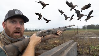 Thousands of Little Geese (Pit Blind Hunt)
