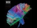 Muse - Explorers