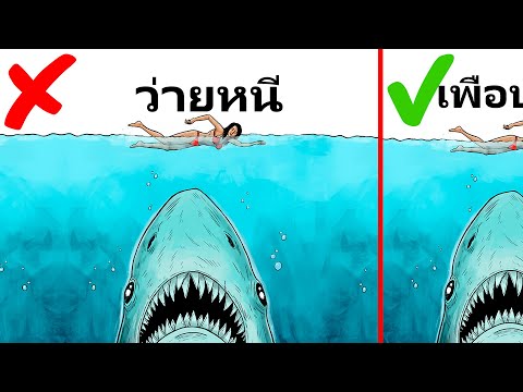 วีดีโอ: 5 วิธีเอาตัวรอดจากการโจมตีของสัตว์