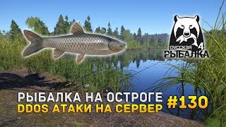 Рыбалка на Остроге. DDos атаки на сервер - Русская Рыбалка 4 #130